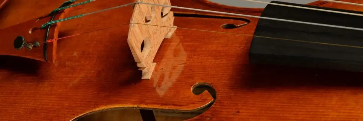 Riccio di violino