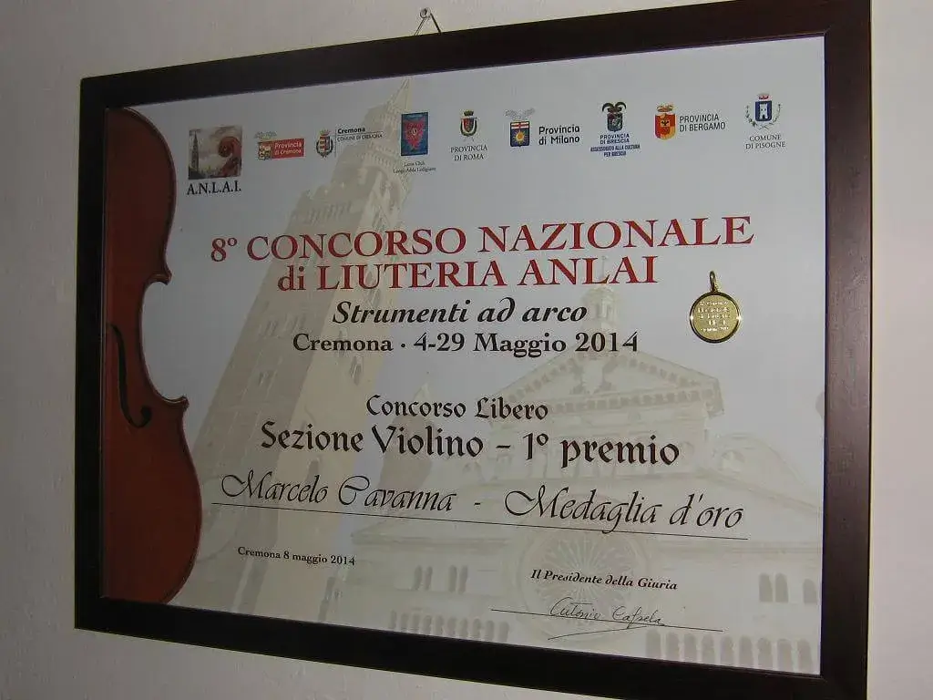 Medaglia d'Oro, primo premio sezione violino, 8° Concorso Nazionale di Liuteria ANLAI, Cremona 2014
